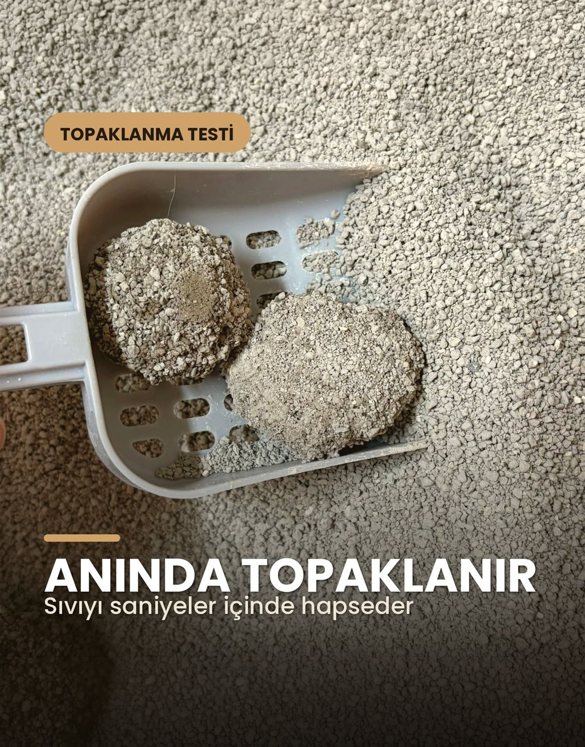 ShewCat Topaklanan, Tozsuz, Koku Hapseden Lavantalı Bentonit Kedi Kumu 5 KG