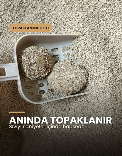 ShewCat Topaklanan, Tozsuz, Koku Hapseden Lavantalı Bentonit Kedi Kumu 5 KG