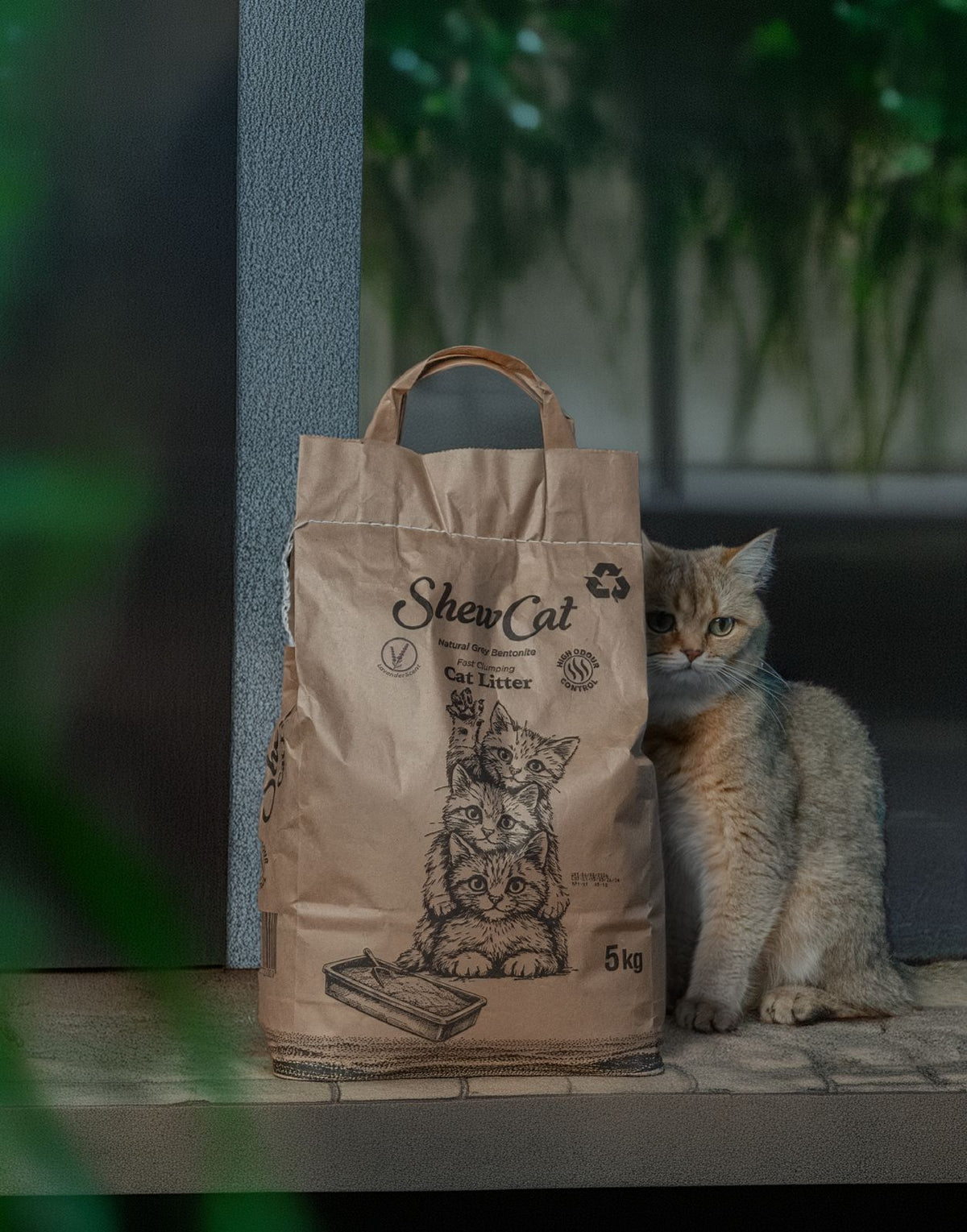 ShewCat Topaklanan, Tozsuz, Koku Hapseden Lavantalı Bentonit Kedi Kumu 5 KG